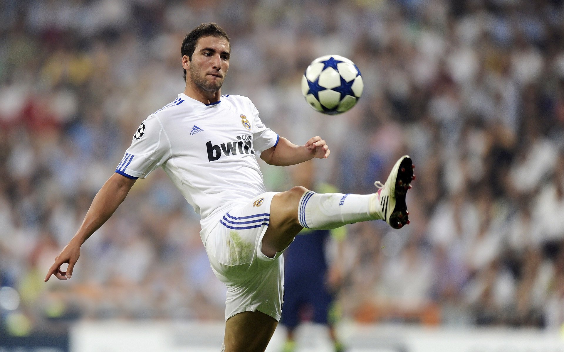 逆风飞翔，范弗利特的救赎之夜