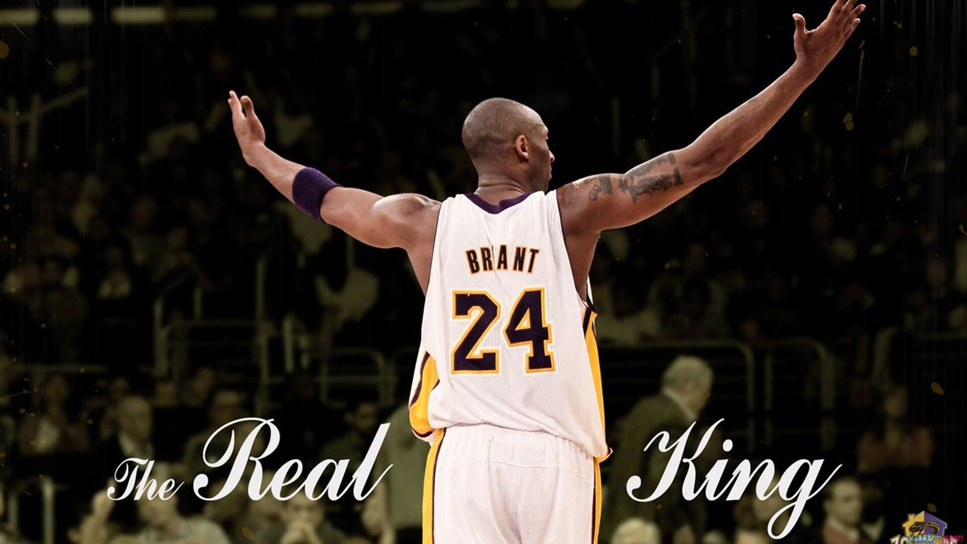 横扫与传奇，AC米兰的欧冠之夜与托尼的永恒纪录